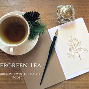 Evergreen Tea