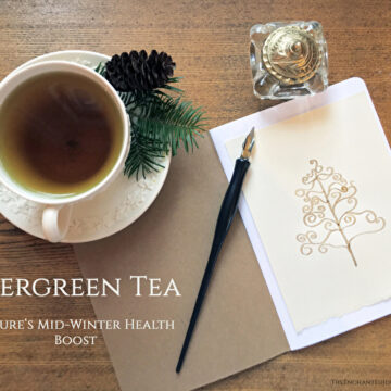 Evergreen Tea