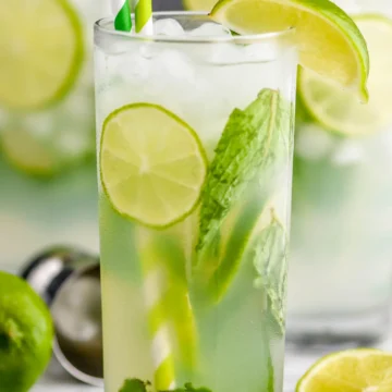 Lemonade Mojito